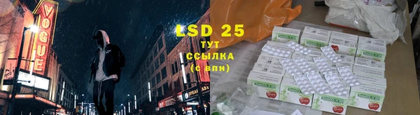 прущие грибы Балабаново