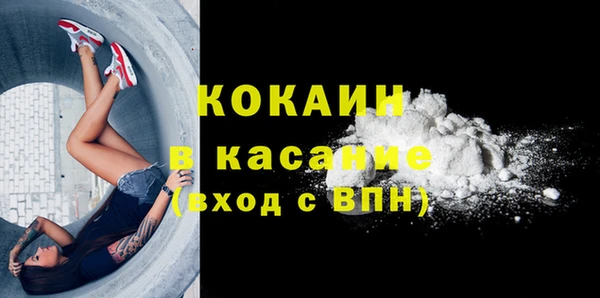 прущие грибы Балабаново
