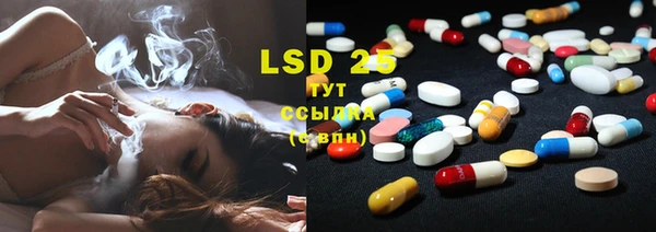 прущие грибы Балабаново