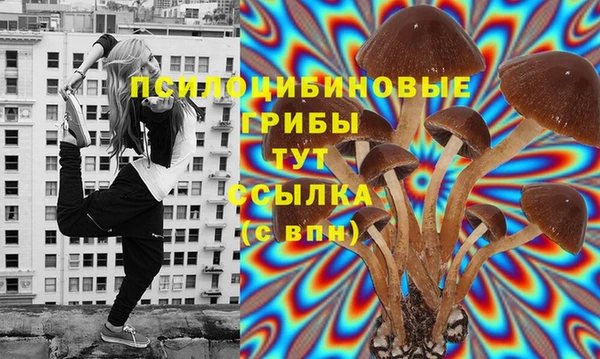прущие грибы Балабаново