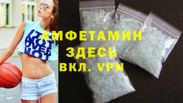 прущие грибы Балабаново